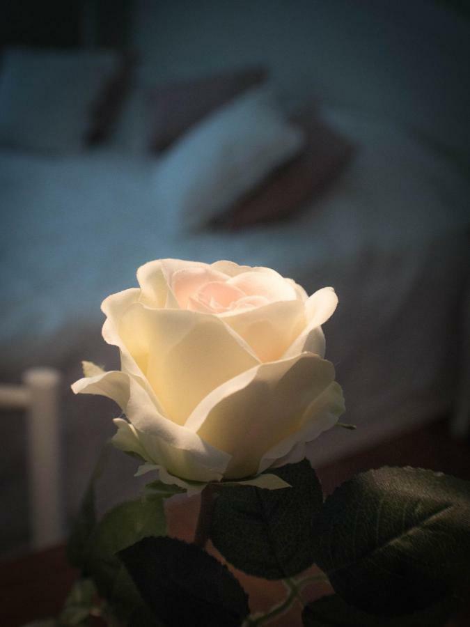 Feliz Apartman Дьюла Екстер'єр фото